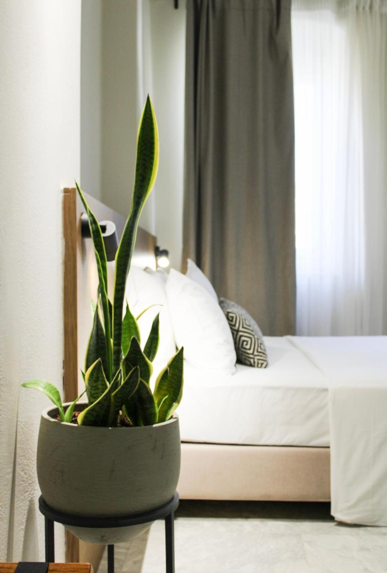 Oiko Mini Suites Ermoupoli Eksteriør billede